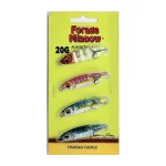 Forage Minnow Jig